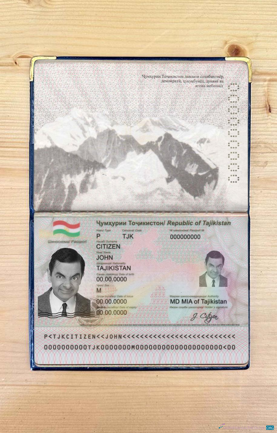 Download Tajikistan passport photo look Photoshop template